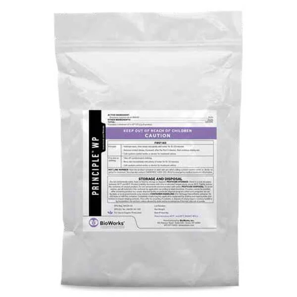 Insecticide